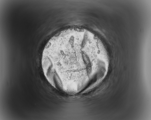 X0000087561159200705251754