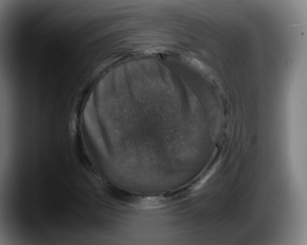 X0000087561161200705251754