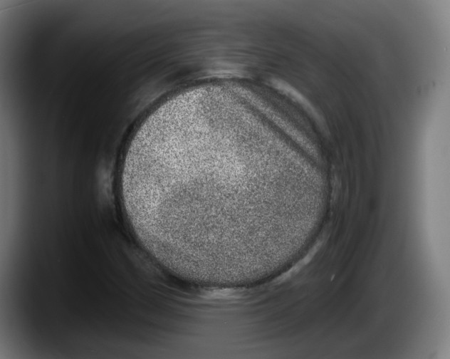 X0000087561162200705251754
