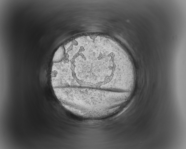 X0000087561163200705251754
