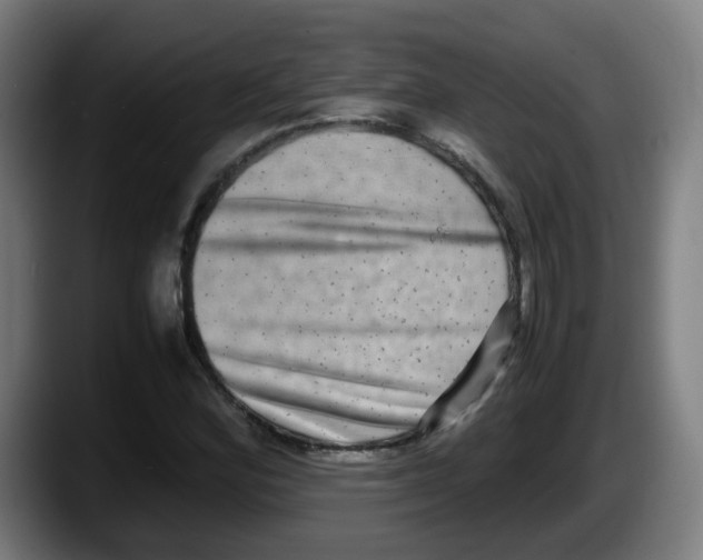 X0000087561164200705251754