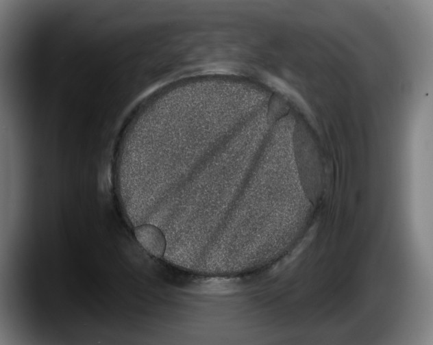 X0000087561166200705251754
