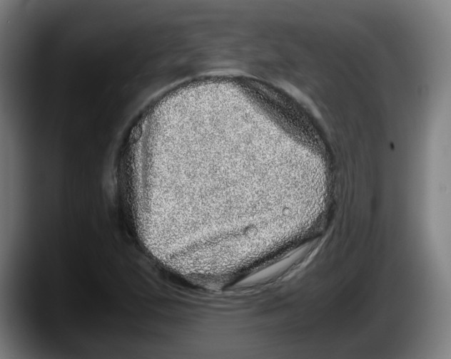 X0000087561167200705251754