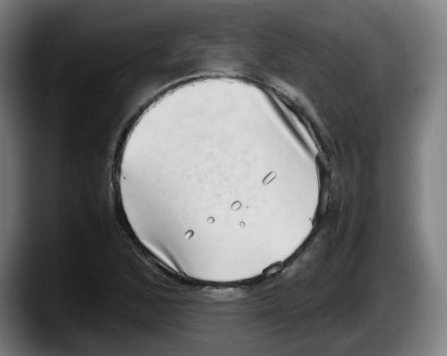 X0000087561168200705251754