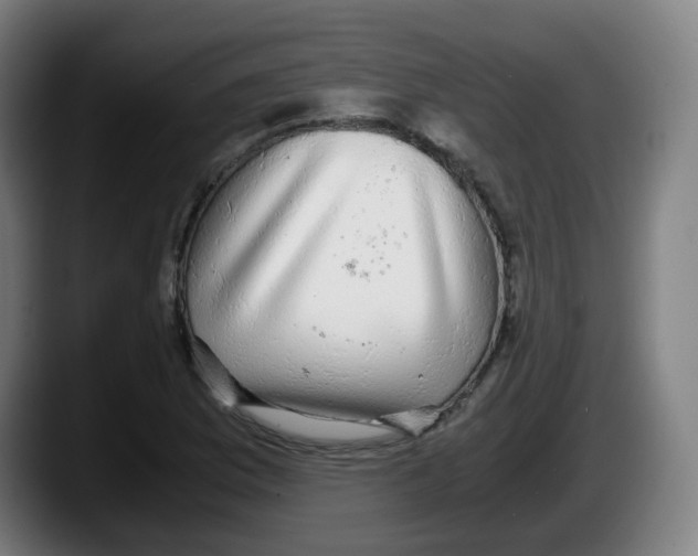 X0000087561169200705251754