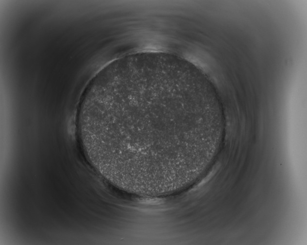 X0000087561170200705251754