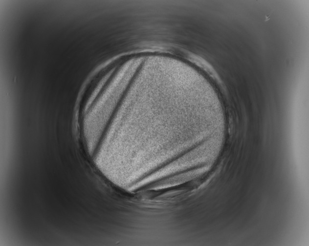X0000087561172200705251754