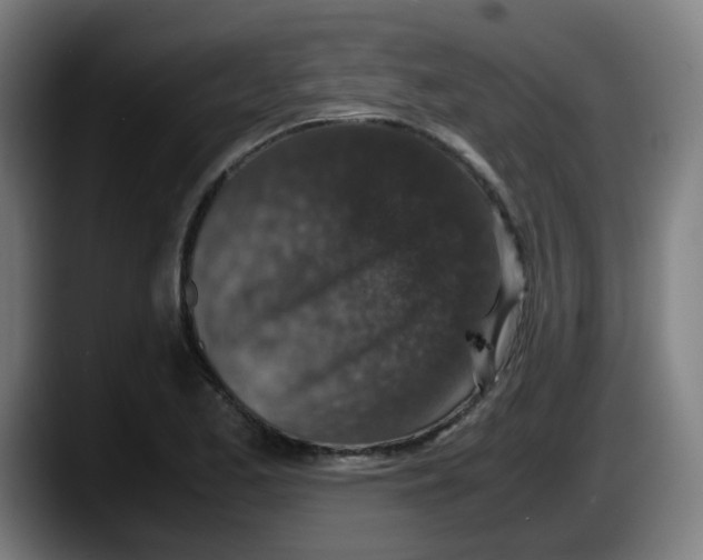 X0000087561173200705251754