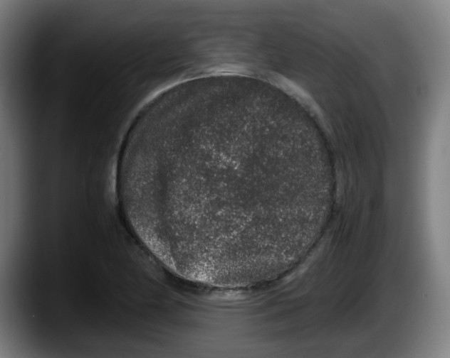 X0000087561174200705251754