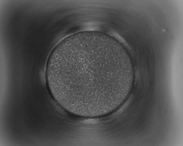 X0000087561178200705251754