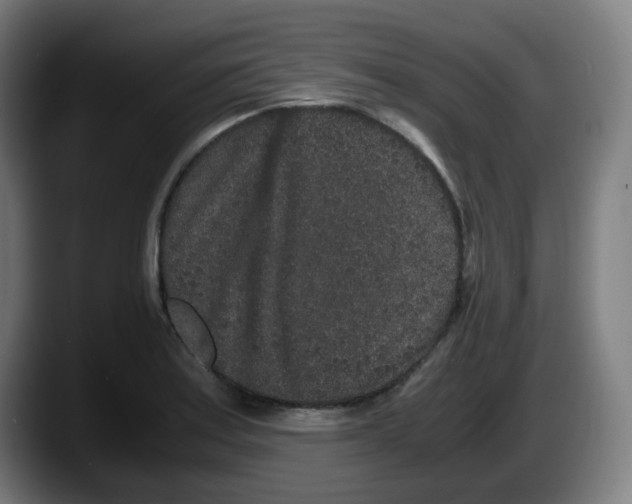 X0000087561179200705251754