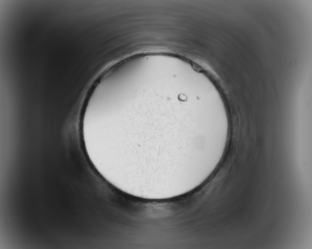 X0000087561181200705251754