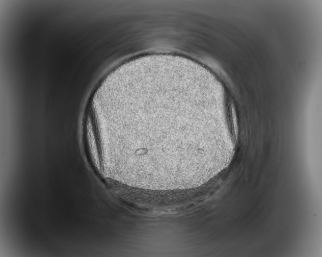 X0000087561183200705251754