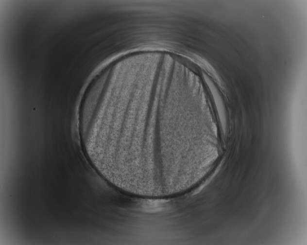 X0000087561184200705251754