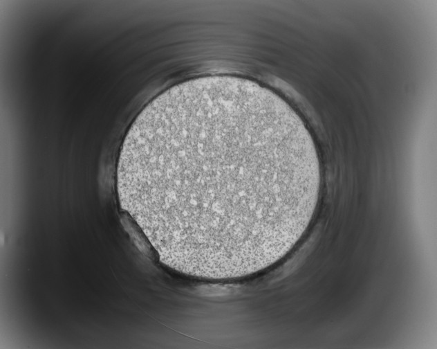 X0000087561185200705251754