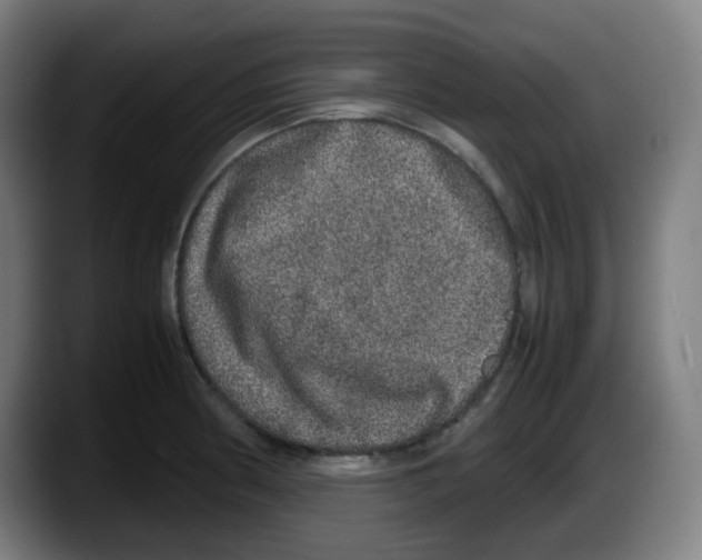 X0000087561186200705251754