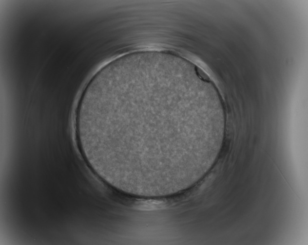 X0000087561187200705251754