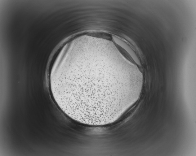 X0000087561188200705251754
