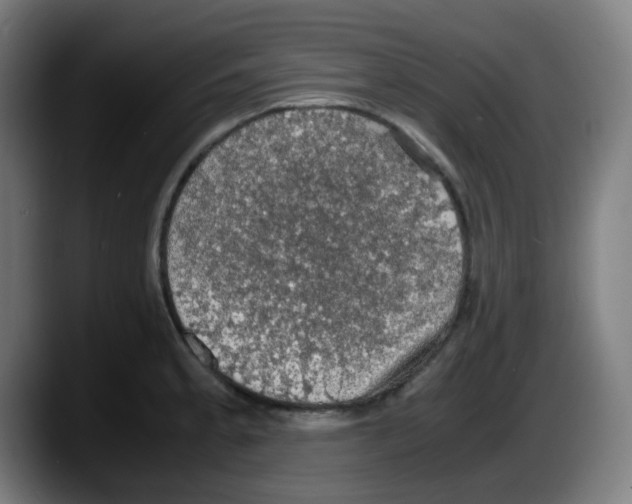X0000087561189200705251754