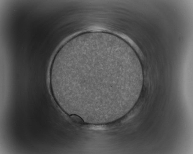 X0000087561191200705251754