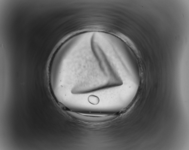 X0000087561192200705251754