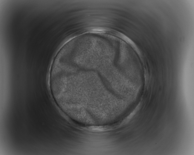 X0000087561194200705251754
