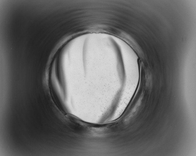X0000087561196200705251754