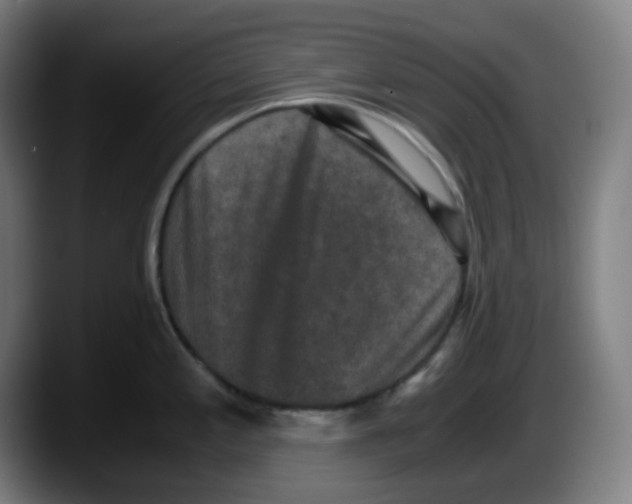 X0000087561197200705251754