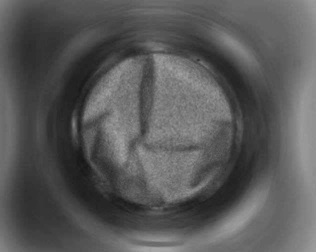 X0000087561198200705251754