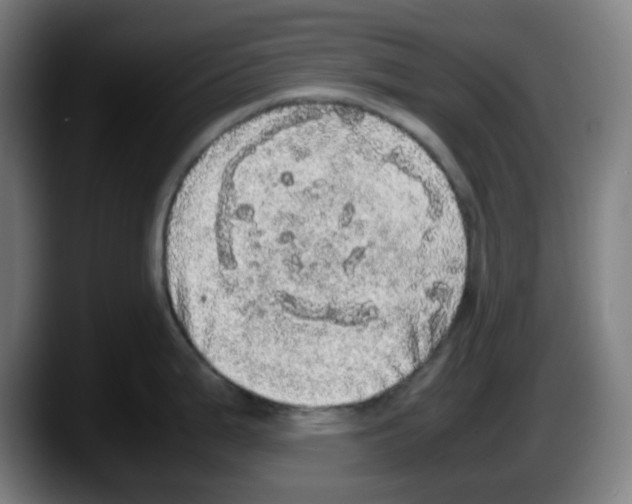 X0000087561199200705251754