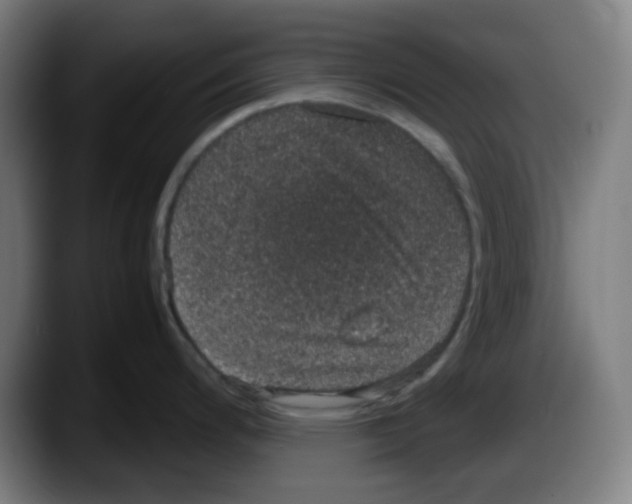 X0000087561200200705251754