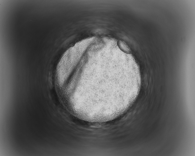 X0000087561205200705251753