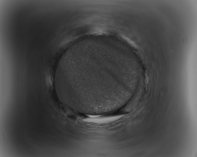 X0000087561206200705251753