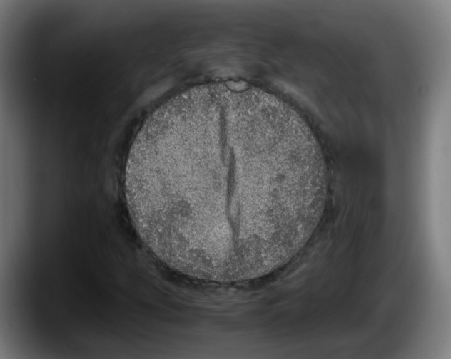 X0000087561207200705251753