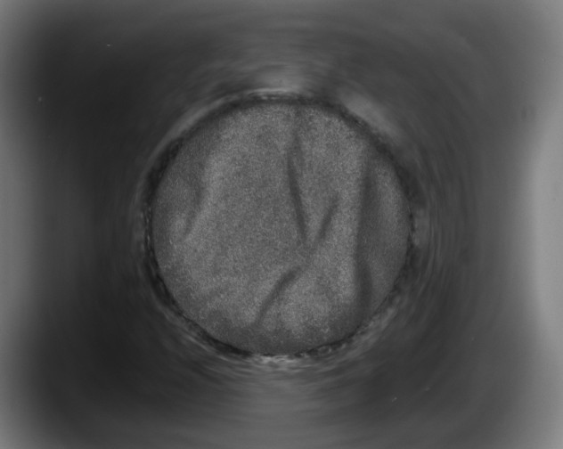 X0000087561208200705251753
