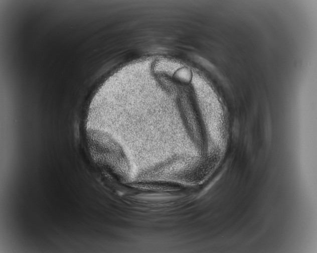 X0000087561209200705251753