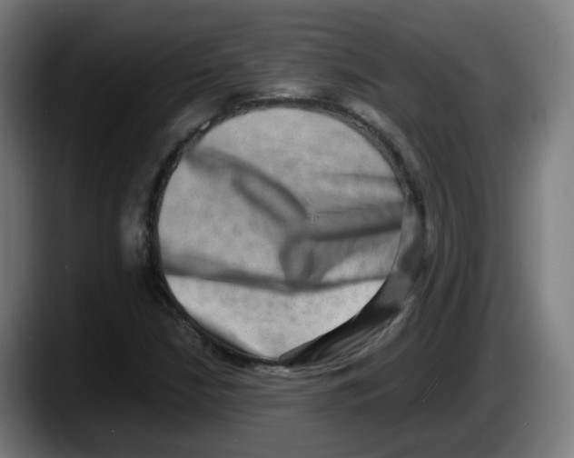 X0000087561210200705251753