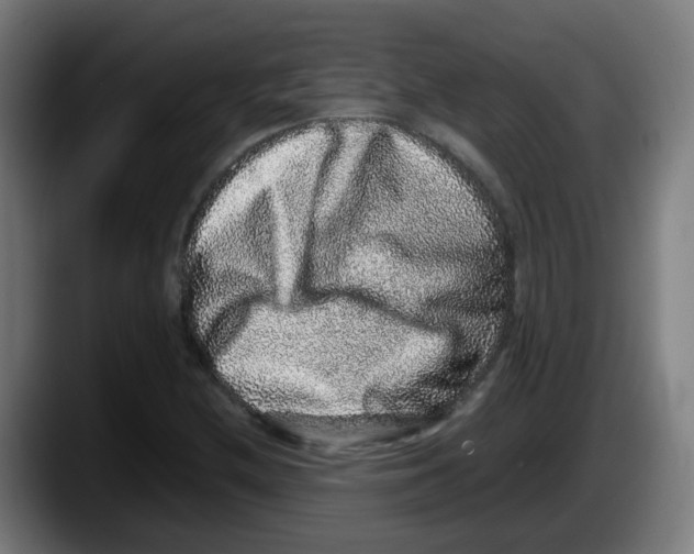 X0000087561212200705251753