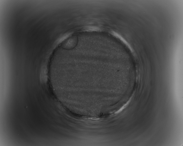 X0000087561213200705251753