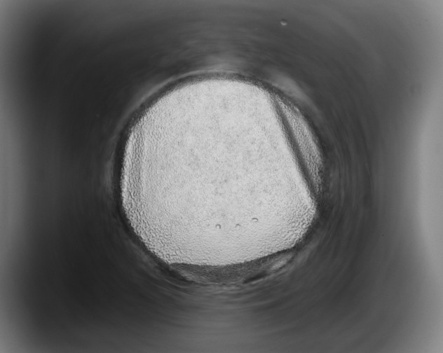 X0000087561216200705251753