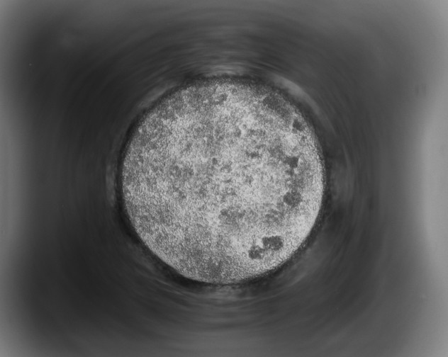 X0000087561217200705251753