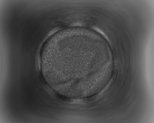 X0000087561219200705251753
