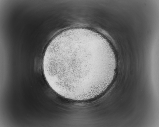 X0000087561220200705251753