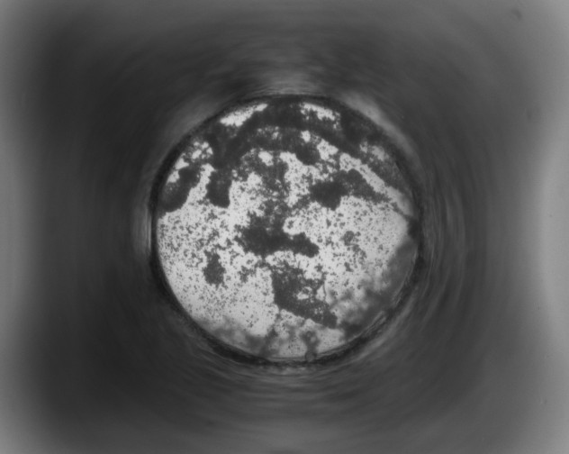X0000087561221200705251753