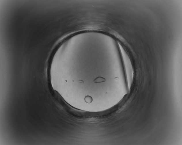 X0000087561222200705251753