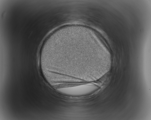 X0000087561224200705251753