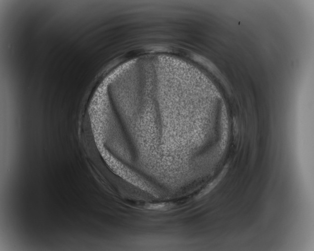 X0000087561225200705251753