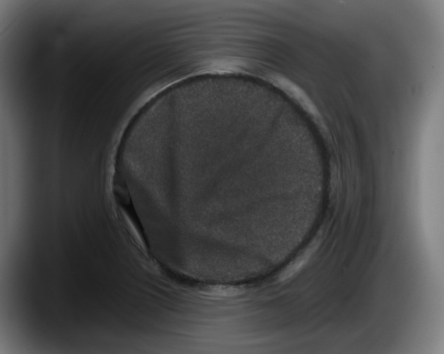 X0000087561226200705251753