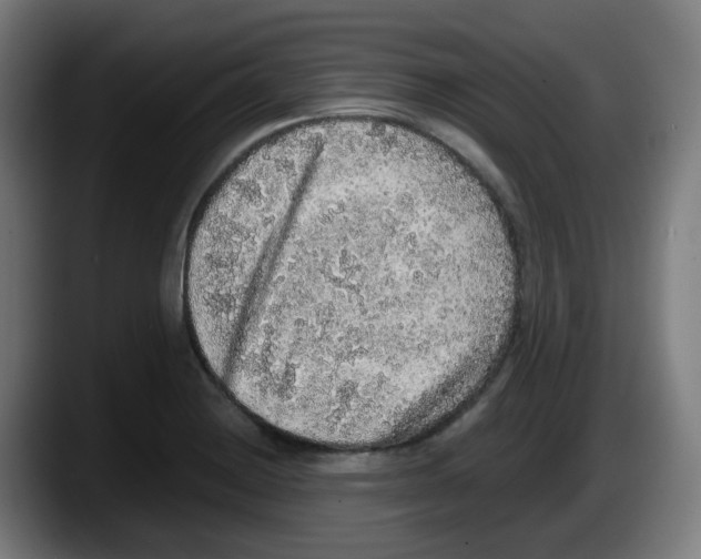 X0000087561228200705251753
