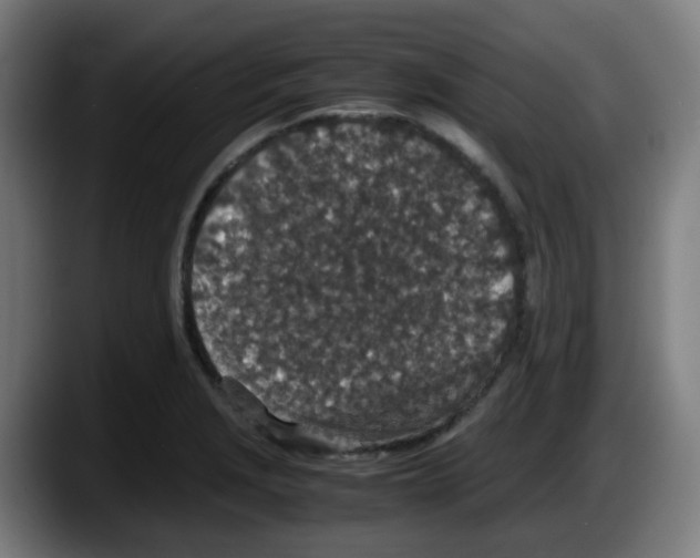 X0000087561229200705251753